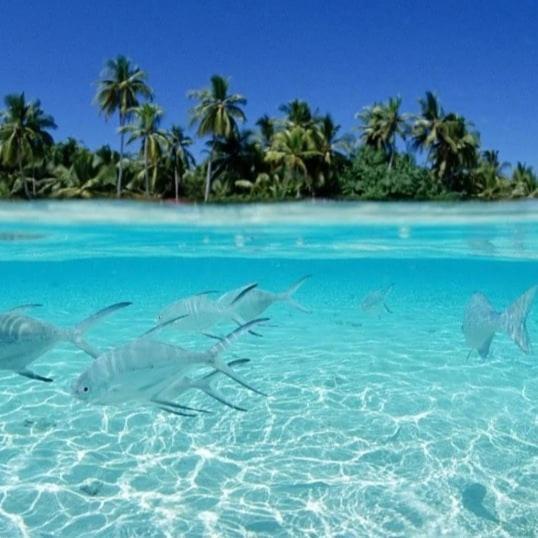 Ocean Breeze Maldives Hotel Thulusdhoo Eksteriør billede
