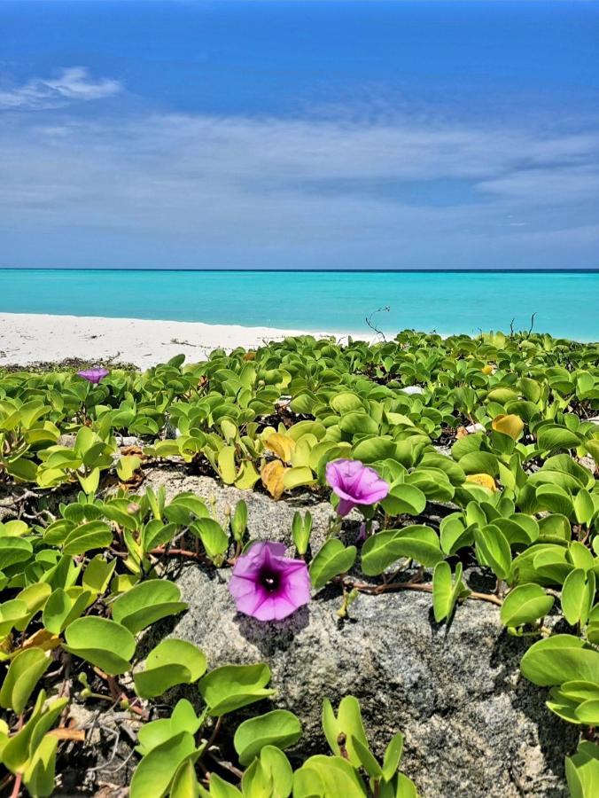Ocean Breeze Maldives Hotel Thulusdhoo Eksteriør billede